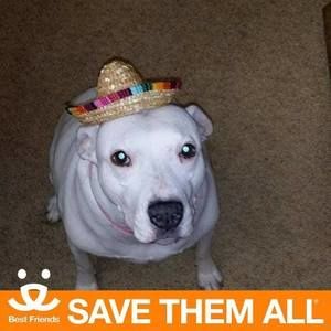 Meet your Posher, Kimberley